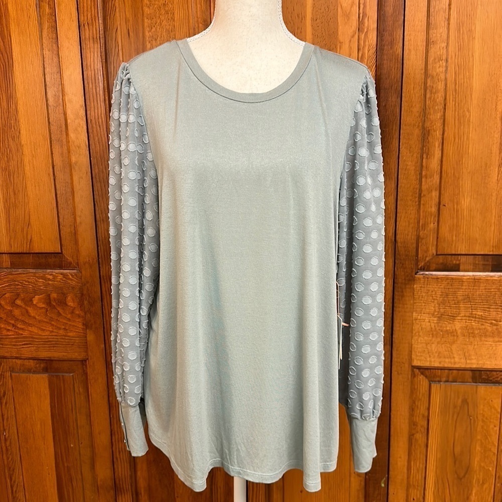 Skies Are Blue Sage Green Dot Sleeve Long Sleeve Top